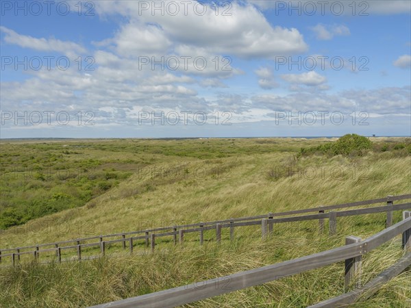Wide dune landscape with a wooden path, blue sky with clouds, in the background the sea, dune and