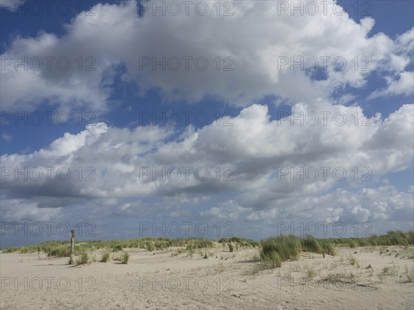 Wide sand dune landscape under a partly cloudy sky, quiet atmosphere, lonely beach with dune grass