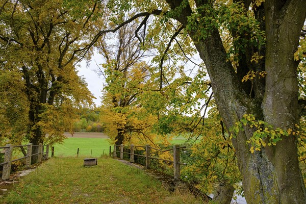 Schneidheimer Sechta, near Itzlingen, Noerdlinger Ries, Ostalbkreis, Baden-Wuerttemberg, Germany,