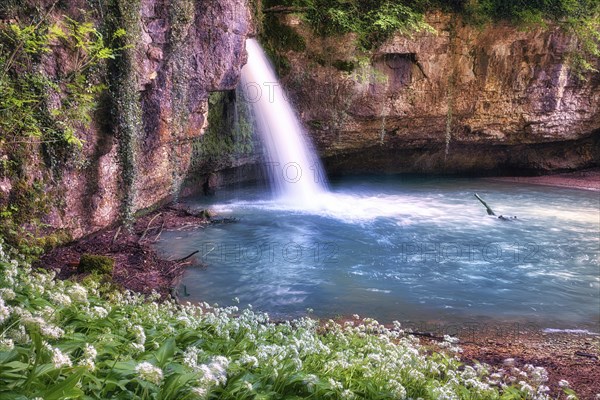Waterfall with small pond, wild garlic in bloom, Canton Basel-Landschaft, Switzerland, Europe
