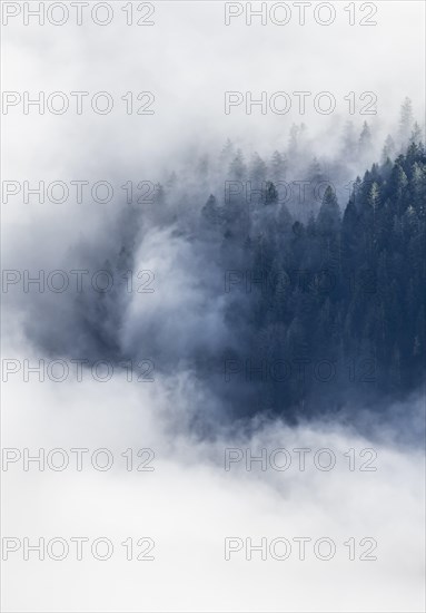Wooded mountain looks out of cloud cover, view from Ettaler Manndl, high fog in the valley,