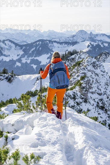Hiker in winter climbing the Aiplspitz, Mangfall mountains, Bavarian Prealps, Bavaria, Tyrol,