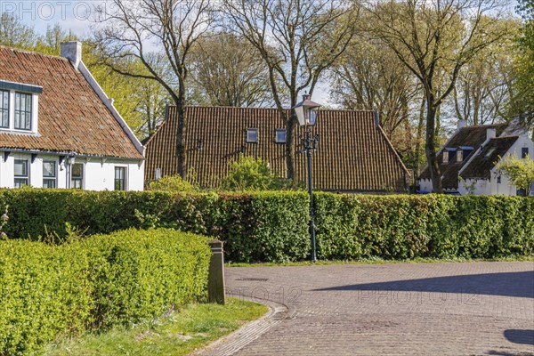 Houses and bushes along a lane surrounded by trees in a village in spring, historic houses in a