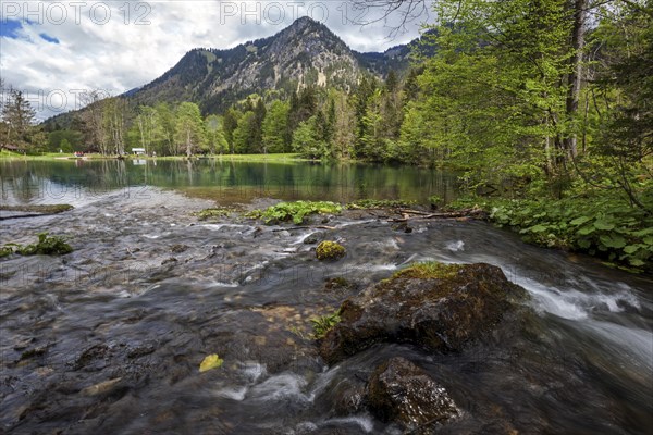 Christlessee, near Gottenried, Trettachtal, Oberstdorf, Oberallgaeu, Allgaeu, Bavaria, Germany,