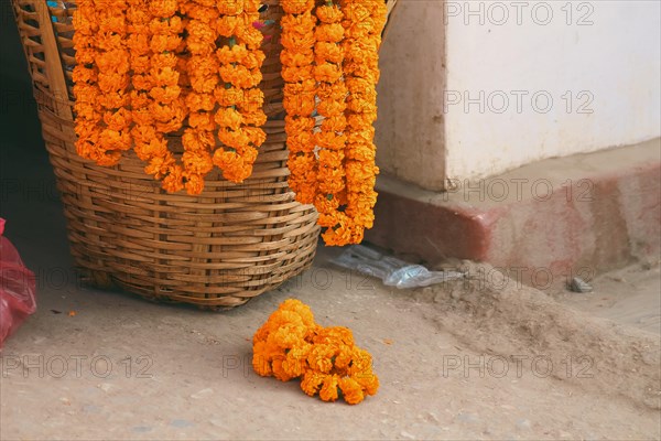 Marigold flower garlands hung on an empty woven basket it used as sacred religious offerings that