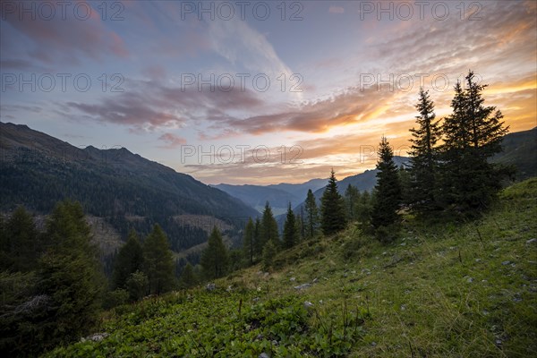 Picturesque mountain landscape at sunrise with mountains and pine trees under a colourful sky, view