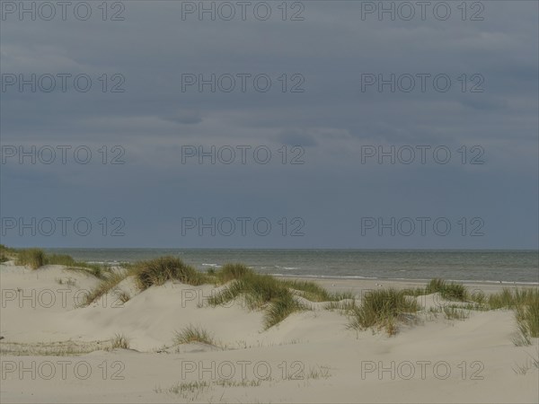 Calm sea behind sand dunes and reeds under a cloudy sky, dunes by the sea with clouds in the blue