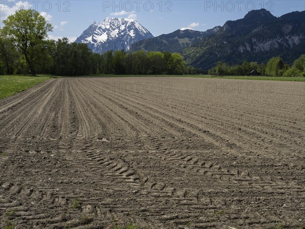 Arable land, behind the Grimming, near Irdning, Ennstal, Styria, Austria, Europe