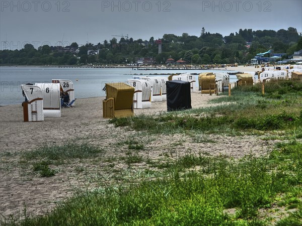 Several beach chairs stand on a sandy beach along the coast with dense vegetation and hills in the