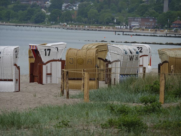 Beach chairs on a sandy beach along the coast, with dense vegetation and houses in the background,