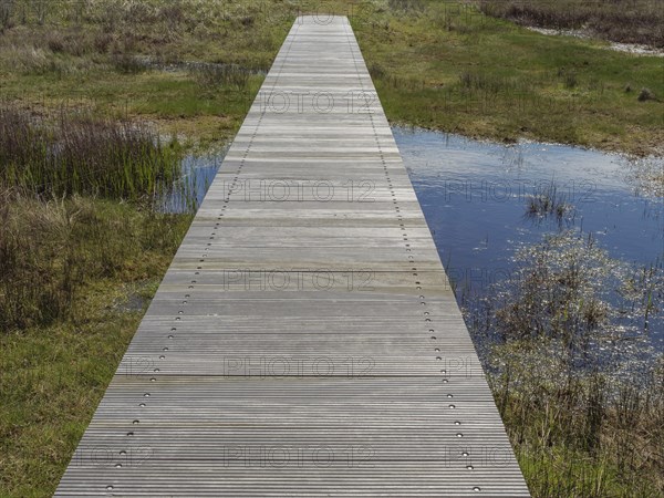 A wooden path crosses a marshy area with green grass and small patches of water, cloudy sky, wooden