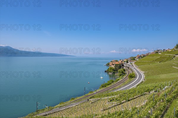 View of Lake Geneva surrounded by mountains, with vineyards and a village along a winding road