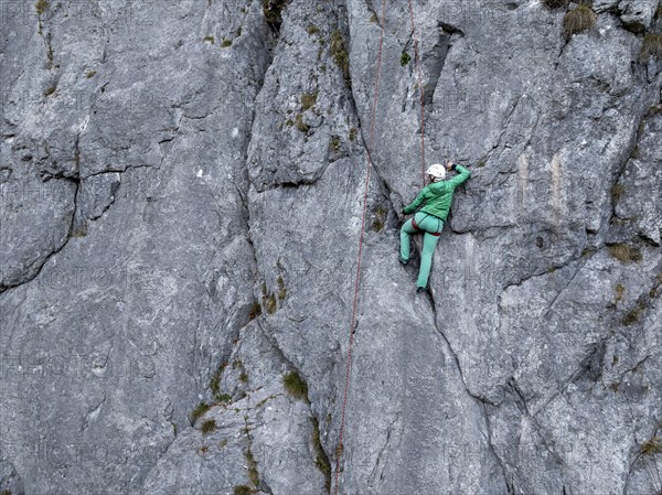 Sport climbing with rope, climber on a rock face, Frauenwasserl climbing garden, Ammergau Alps,