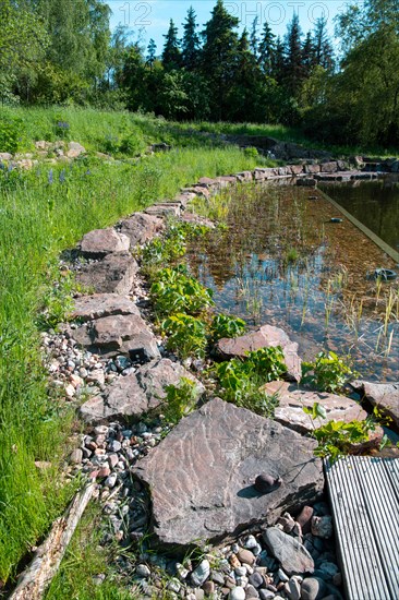 Pond in a natural garden, practical nature conservation, biotope for insects, amphibians and birds,