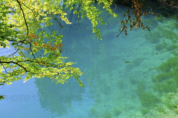 Blue spring, karst pot, Blautopf, Blaubeuren, Swabian Alb, Baden-Wuerttemberg, Germany, Europe