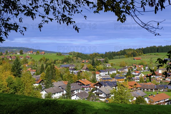 Panorama trail, via Bad Kohlgrub, Pfaffenwinkel, Upper Bavaria, Bavaria, Germany, Europe