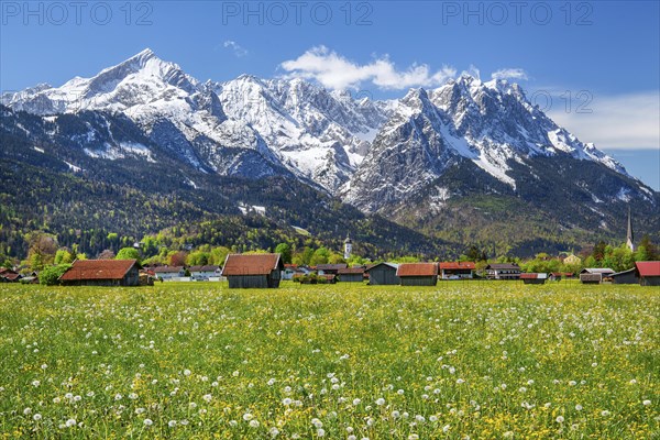 Spring meadow with hay barns at the edge of the village in front of Zugspitzgruppe 2962m in