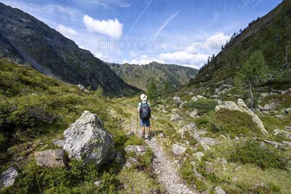 Mountaineer on a hiking trail, mountain landscape with green meadows and larches, Obergailtal,