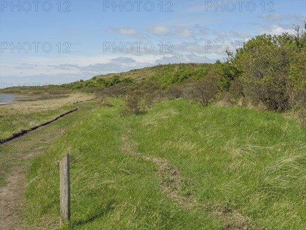 Green landscape with bushes and a natural path along the coast under a cloudy sky, dune and hiking
