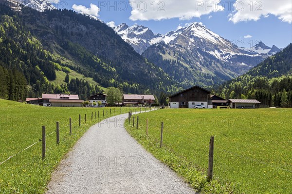 Path in Stillachtal, behind mountains of the Allgaeu Alps, Birgsau, near Oberstdorf, Oberallgaeu,