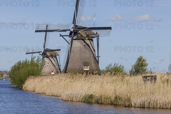 Two windmills on a river bank with reeds and blue sky, many historic windmills on a river in the