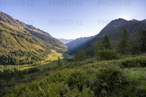 View of the Frohntal valley in the first morning light, mountain landscape with green mountain