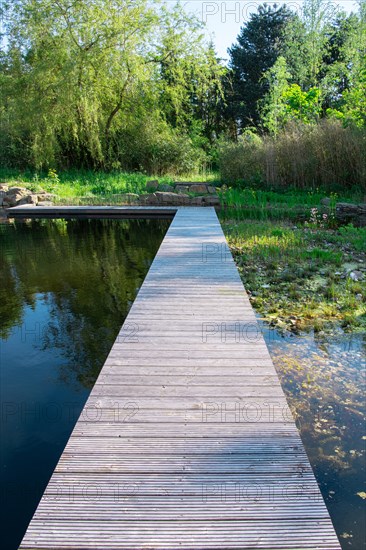 Footbridge at the pond in the natural garden, practical nature conservation, biotope for insects,