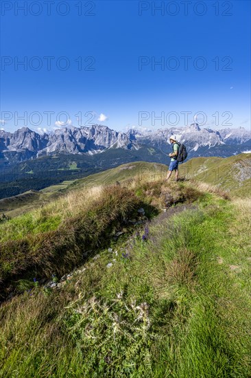 Mountaineers on a hiking trail between green mountain meadows, mountain panorama, view of rocky