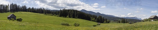 Hay barn in a green meadow, panoramic view, near Bad Mitterndorf, Styria, Austria, Europe