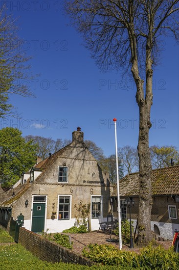 An old farmhouse with flagpole and blue door, surrounded by tall trees and brick houses, historic