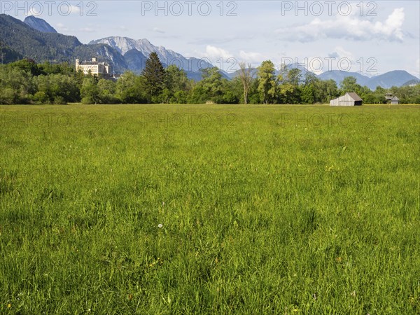 Evening light, meadow with hay barn, Trautenfels Castle, near Irdning, Enns Valley, Styria