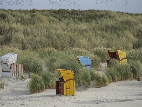 Beach chairs along the dunes, surrounded by tall grasses leading to a path, colourful beach chairs