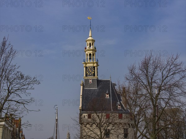 Historic clock tower with trees and blue sky in the background, tower with a golden spire and a