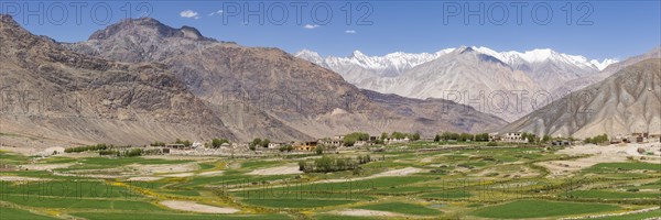 Khardung, Nubra Valley, Ladakh, Jammu and Kashmir, Indian Himalayas, North India, India, Asia