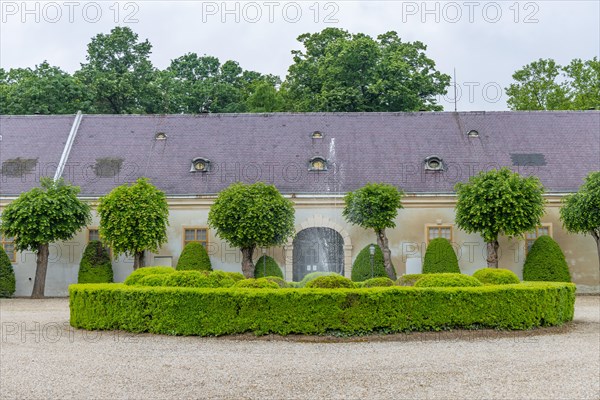 Halbturn Castle, Halbturn, castle park, avenue, Austria, Europe