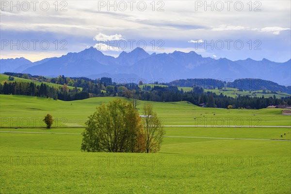 At the Egg viewpoint, in the background Ammergau and Allgaeu Alps, Steingaden, Upper Bavaria.