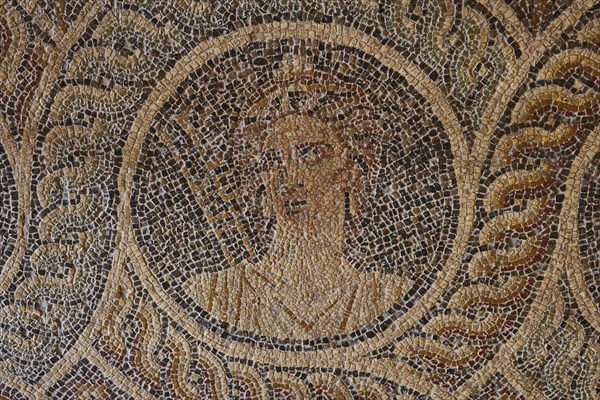 Euterpe, the delightful muse with the double flute, the muse of music, One of the nine muses,