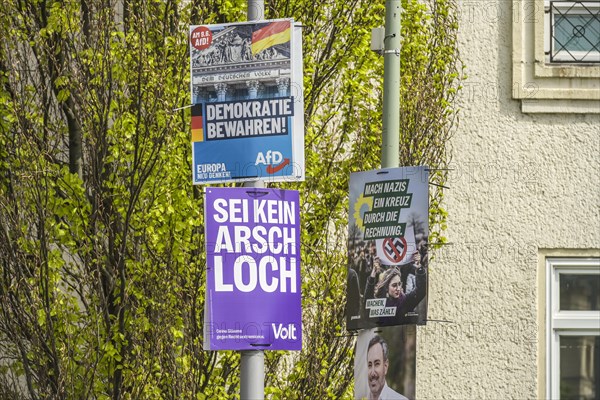 Volt, AfD, The Greens, election posters for the 2024 European elections, Berlin, Germany, Europe