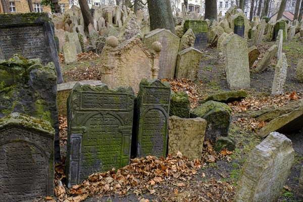 Gravestones, old Jewish cemetery, Jewish Museum, Josefstadt, Jewish Quarter, Prague, Bohemia, Czech