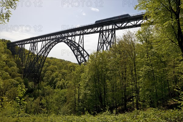 Muengsten Bridge with diesel railcar, highest railway bridge in Germany, Solingen, Bergisches Land,