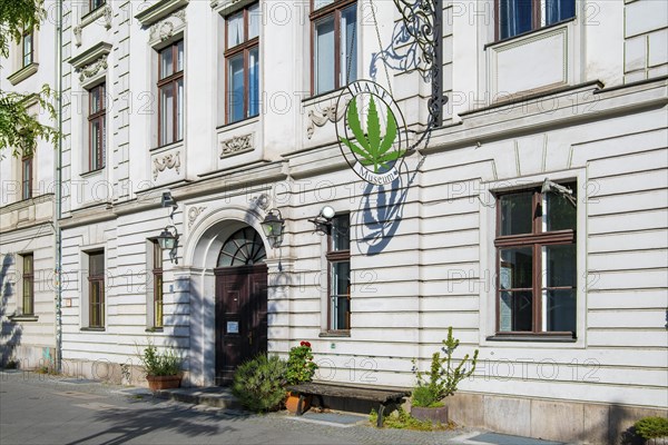 Hemp museum, hemp museum, weed, marijuana, Nikolaiviertel quarter, Alexanderplatz, Berlin, Germany,