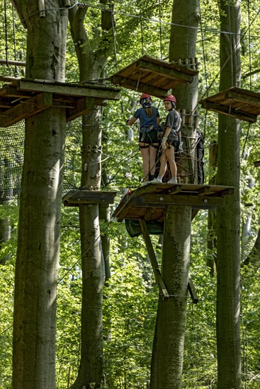 Group of young woman, girls climbing in the climbing forest, platforms, ropes, rope ladders, beech
