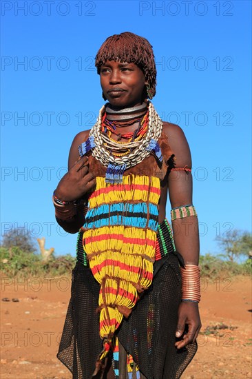 South Ethiopia, Omo region, young woman of the Hammer people, wears a lot of jewellery and her hair