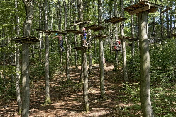 Woman and boy climbing in the climbing forest, platforms, ropes, rope ladders, suspension bridges,