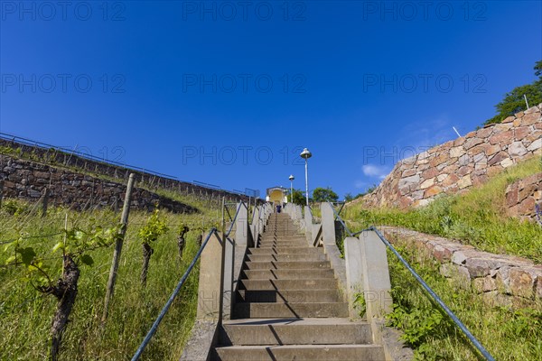 Winery at the Goldener Wagen. Spitzhaustreppe, Radebeul, Saxony, Germany, Europe