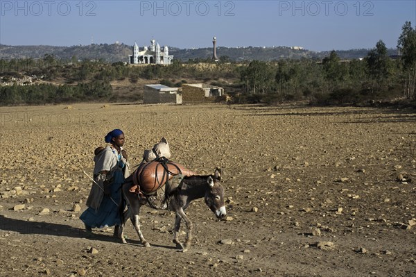 Tigray woman coming back from the market, Mekele, Tigray state, Ethiopia. She is walking in a