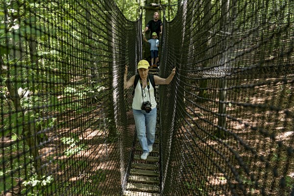 Sporty woman, tourist with camera in treetop path, suspension bridges, ropes, nets, beech forest,