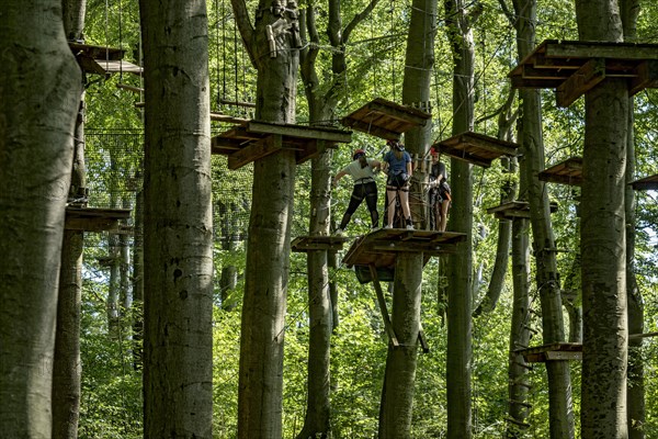Group of young woman, girls climbing in the climbing forest, platforms, ropes, rope ladders, beech