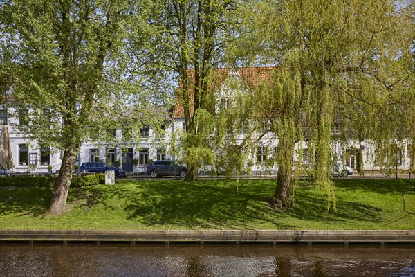 Trees at the Mittelburggraben in Friedrichstadt, district of Nordfriesland, Schleswig-Holstein,