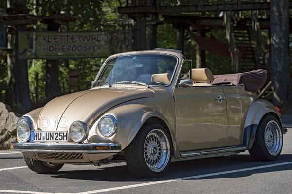Oldtimer Volkswagen VW Beetle Cabriolet, convertible, restored, refined, number plate changed, car